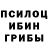 Галлюциногенные грибы Psilocybine cubensis WALIK Sinegub