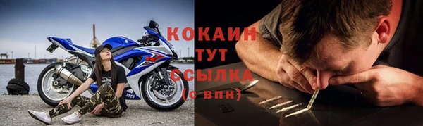 шишки Абинск