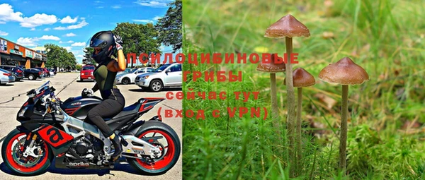 шишки Абинск