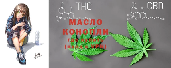 шишки Абинск