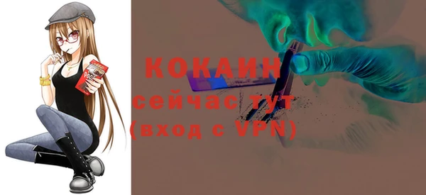 шишки Абинск